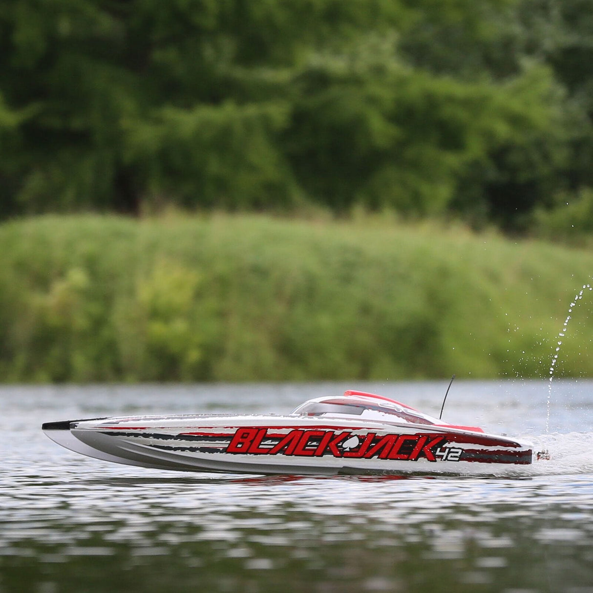 Blackjack 42" 8S Brushless Catamaran RTR