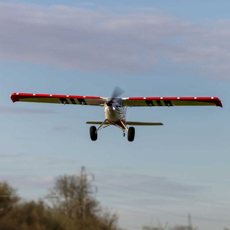 E-flite Turbo Timber Evolution 1.5m BNF Basic + Su İniş Takımı