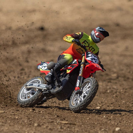 LOSI 1/4 Promoto-MX RC Motosiklet RTR