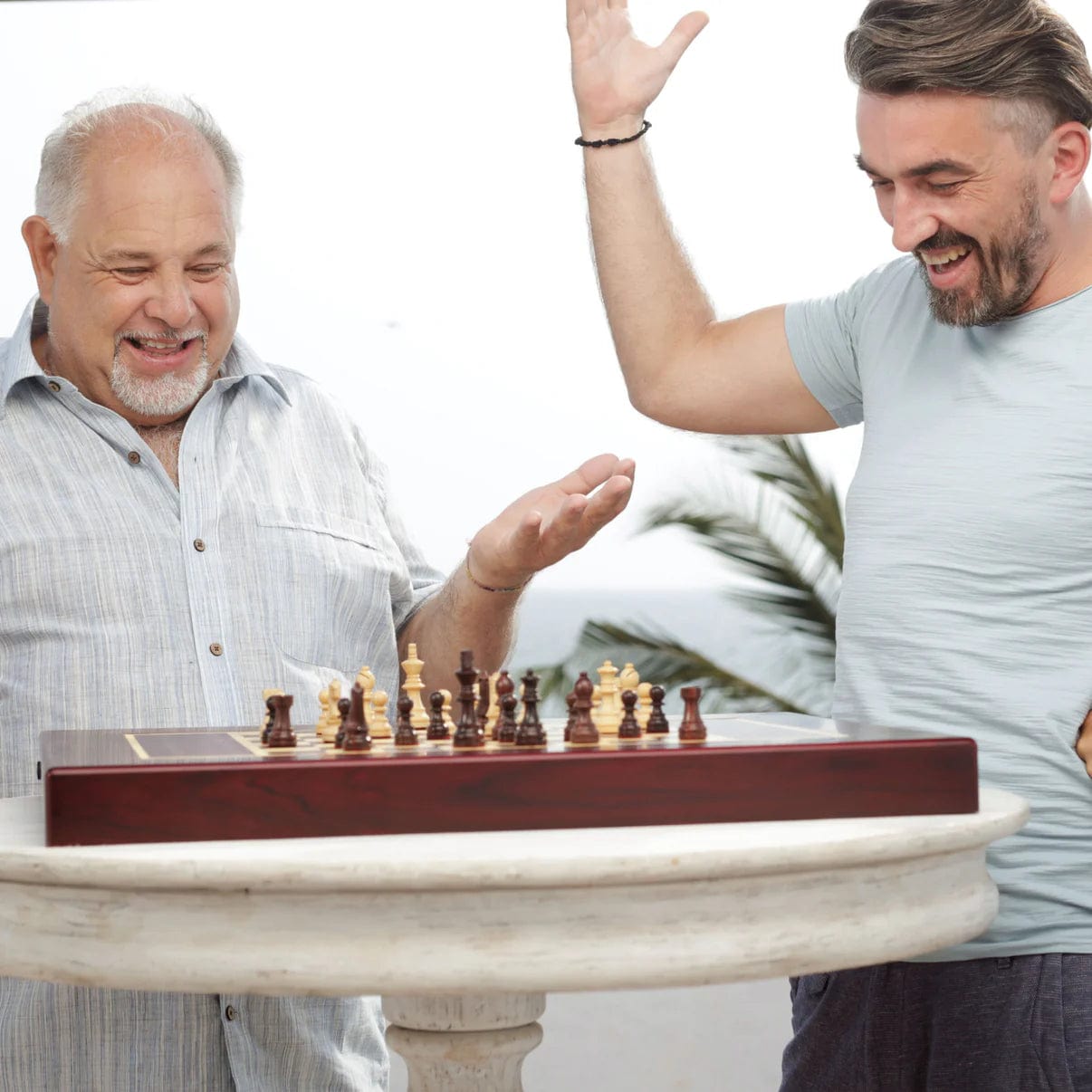 [Dış] Miko Grand Kingdom yapay zekalı satranç tahtası — iki yetişkin bahçede satranç oynarken