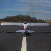 [Dış] Hangar 9 CubCrafters XCub 60cc ARF 116" - pistte önden görünüm, kanat açıklığı